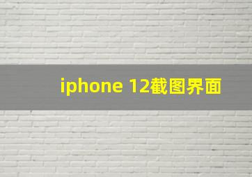 iphone 12截图界面